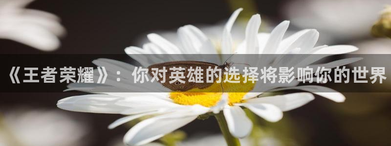 奇亿娱乐在线登录：《王者荣耀》：你对英雄的选择将影响你的世界