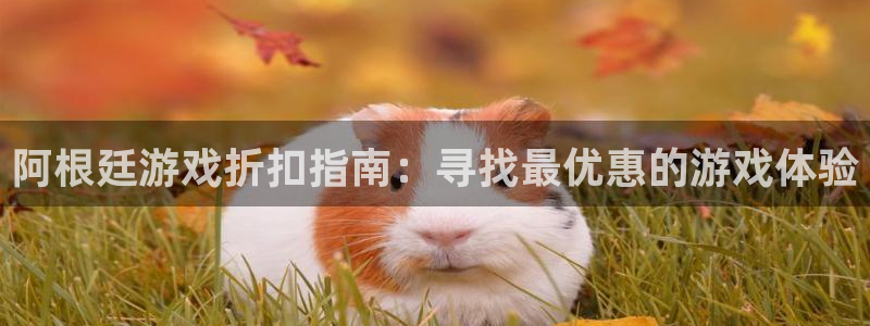 沐春奇亿娱乐：阿根廷游戏折扣指南：寻找最优惠的游戏体验