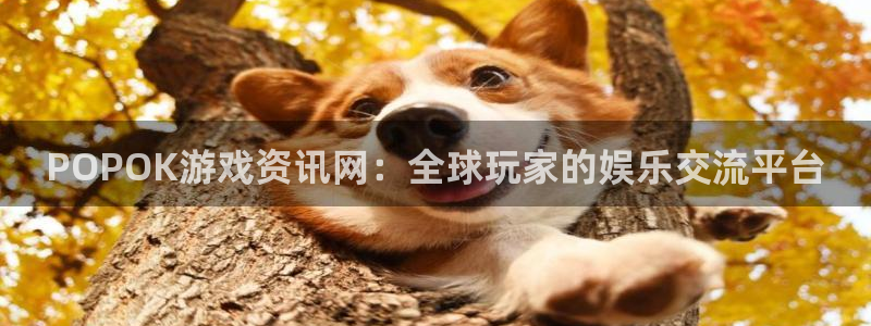 奇亿娱乐平台注册：POPOK游戏资讯网：全球玩家的娱乐交流平